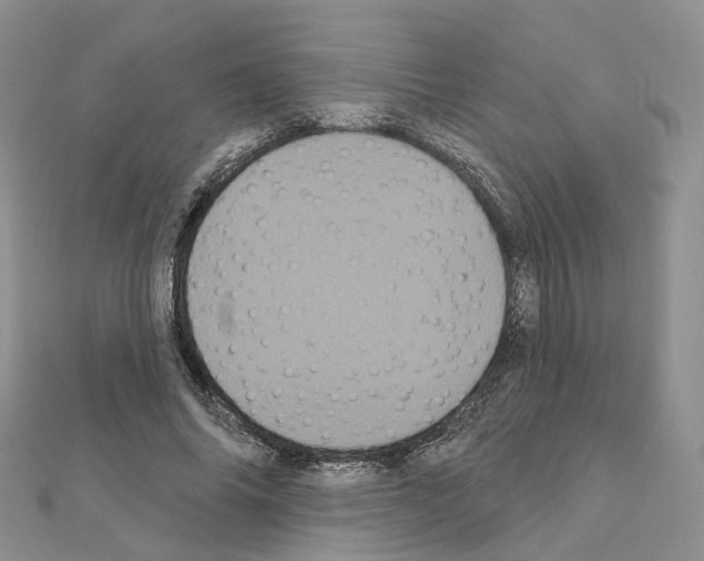 X0000111000686200907311031