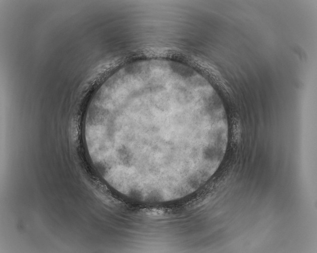 X0000111000687200907311031