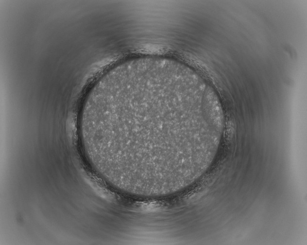 X0000111000688200907311031