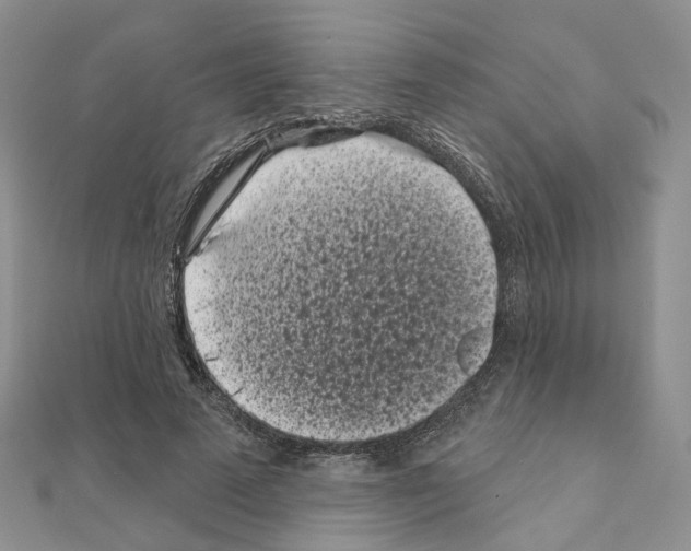 X0000111000689200907311031