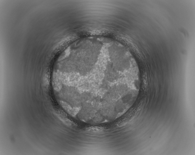 X0000111000691200907311031