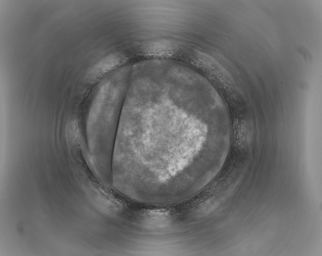 X0000111000692200907311031