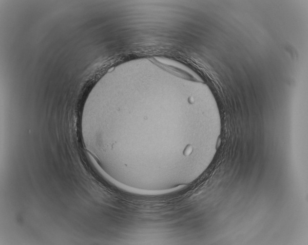 X0000111000693200907311031