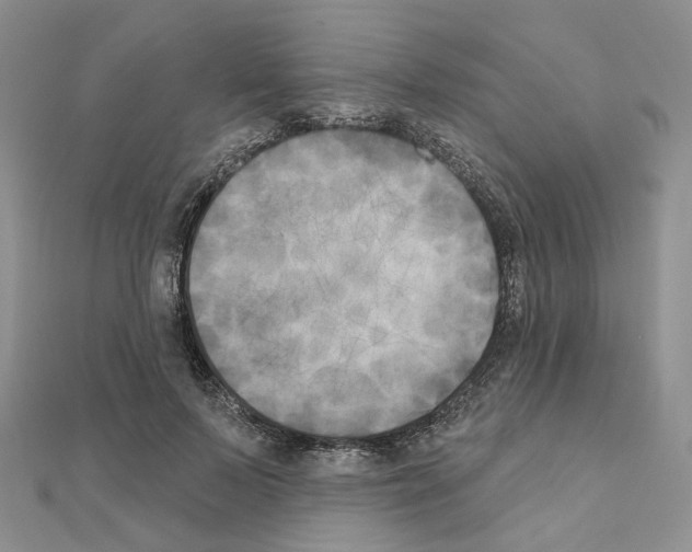 X0000111000695200907311031