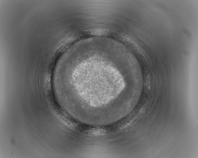 X0000111000696200907311031