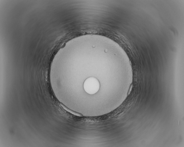 X0000111000697200907311031