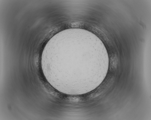 X0000111000698200907311031