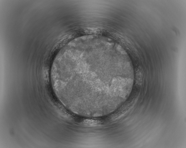 X0000111000699200907311031