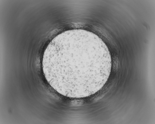 X0000111000700200907311031