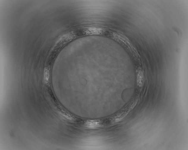 X0000111000701200907311031