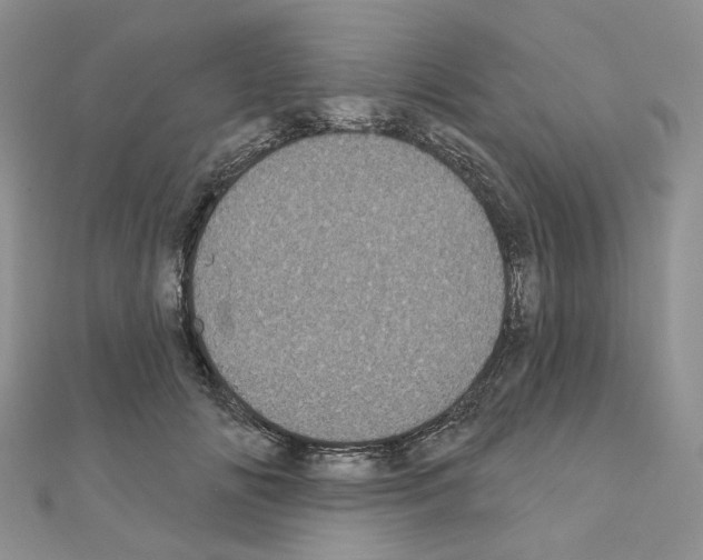 X0000111000702200907311031