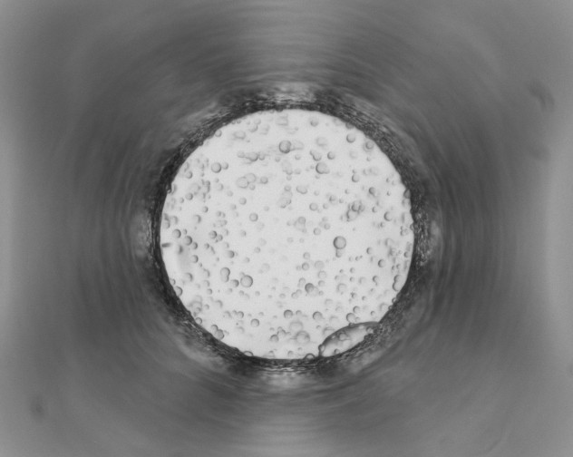 X0000111000704200907311031