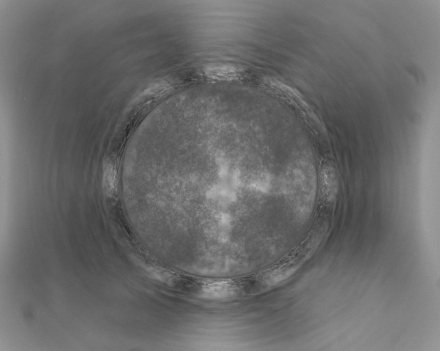 X0000111000705200907311031