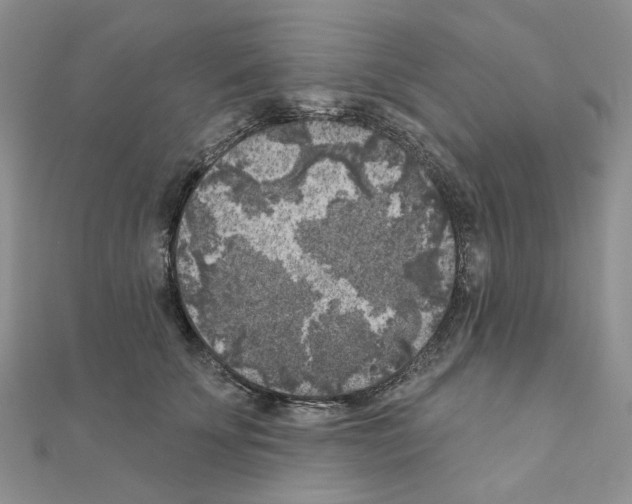 X0000111000707200907311031