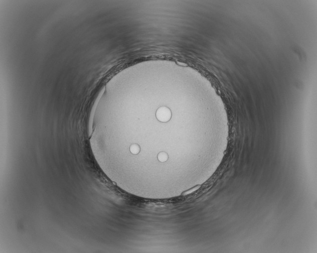 X0000111000708200907311031