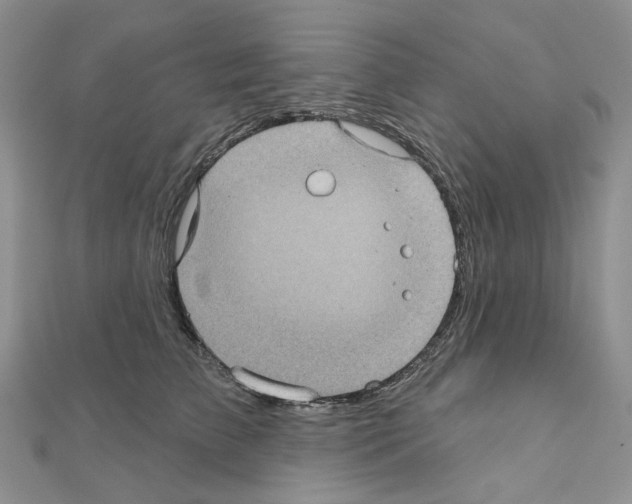 X0000111000709200907311031