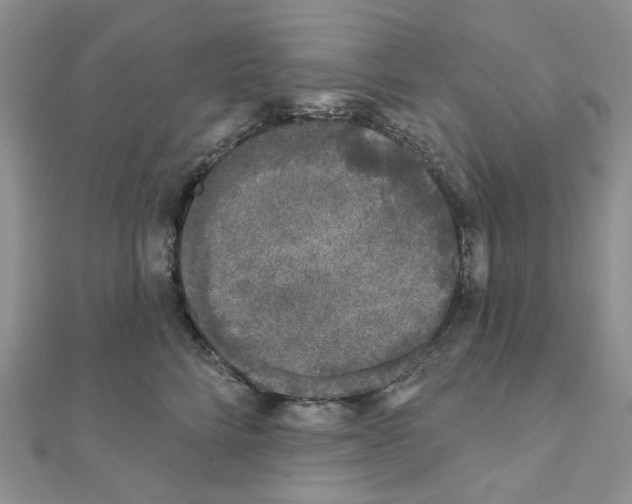 X0000111000712200907311031