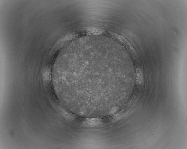 X0000111000713200907311031