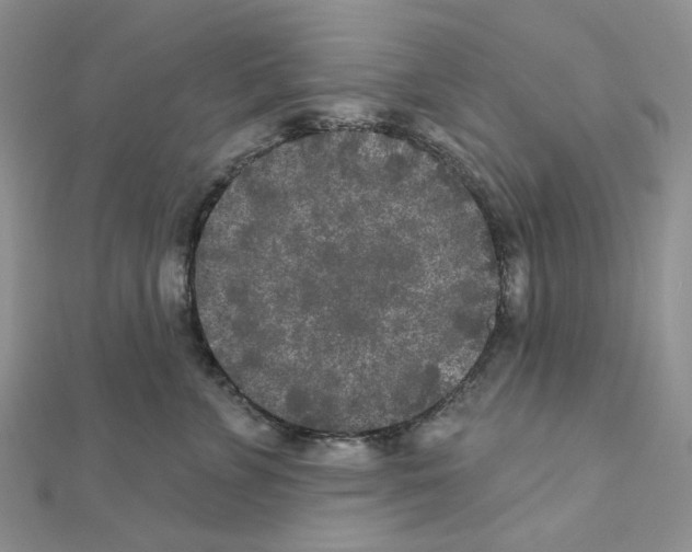 X0000111000715200907311031