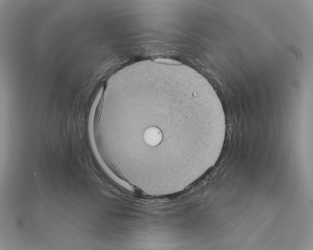 X0000111000716200907311031