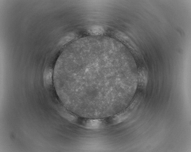 X0000111000717200907311031