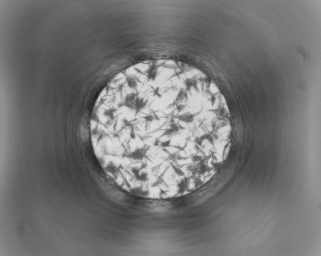 X0000111000719200907311031