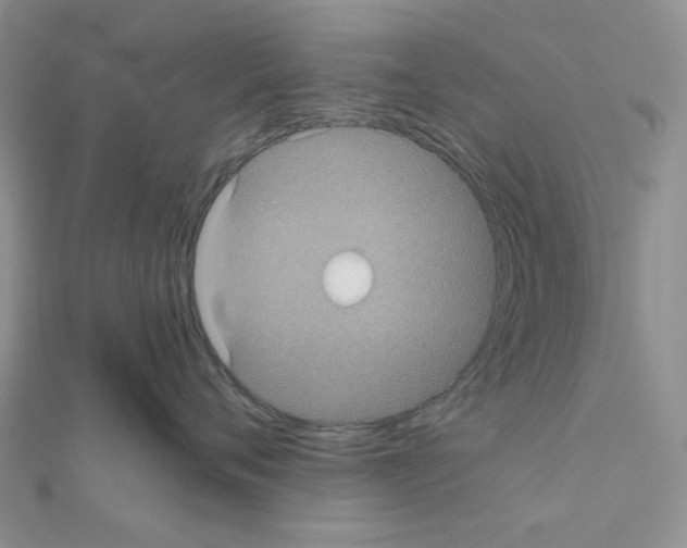 X0000111000720200907311031