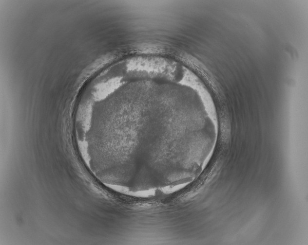 X0000111000721200907311030