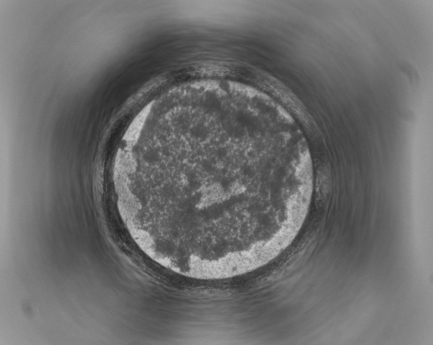 X0000111000722200907311030