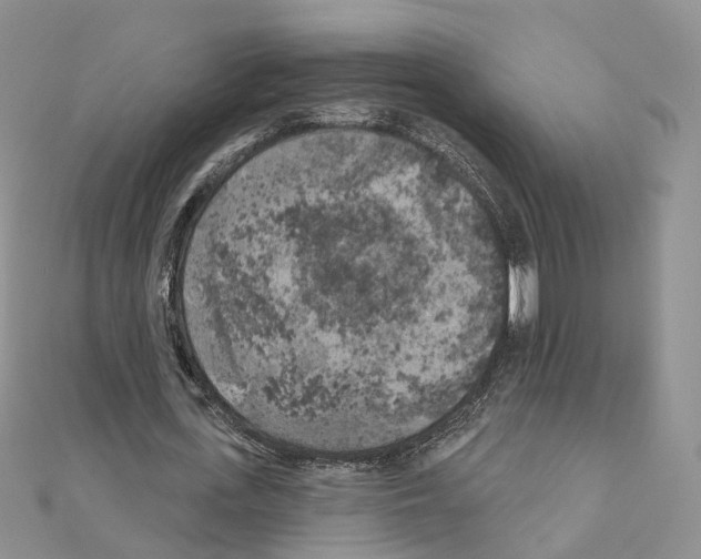 X0000111000723200907311030