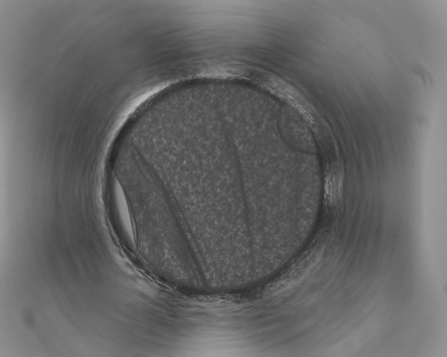 X0000111000724200907311030