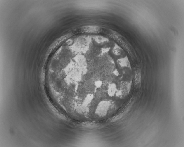 X0000111000725200907311030