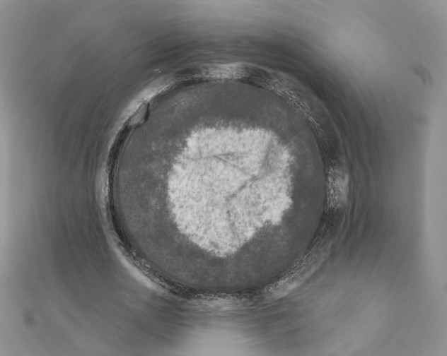 X0000111000726200907311030