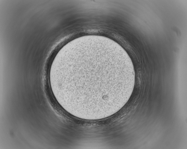 X0000111000728200907311030