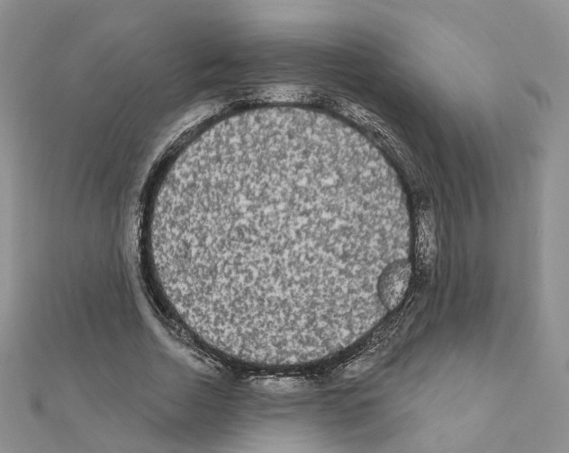 X0000111000730200907311030