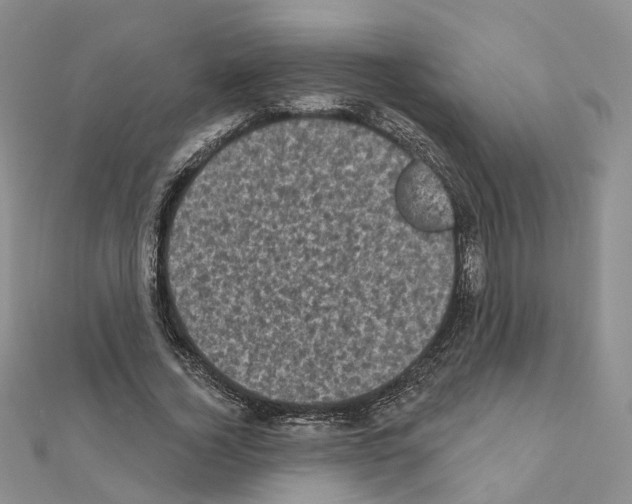 X0000111000732200907311030