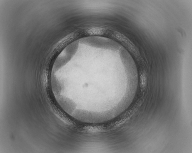 X0000111000733200907311030