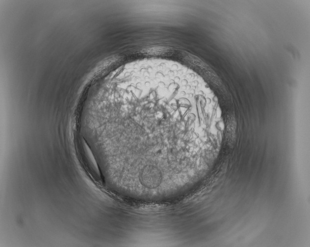 X0000111000734200907311030