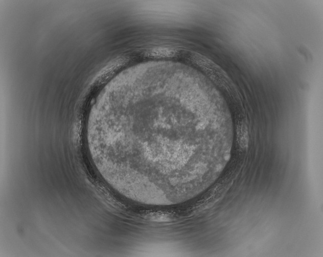 X0000111000735200907311030