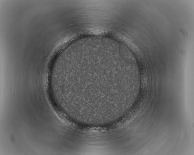 X0000111000736200907311030