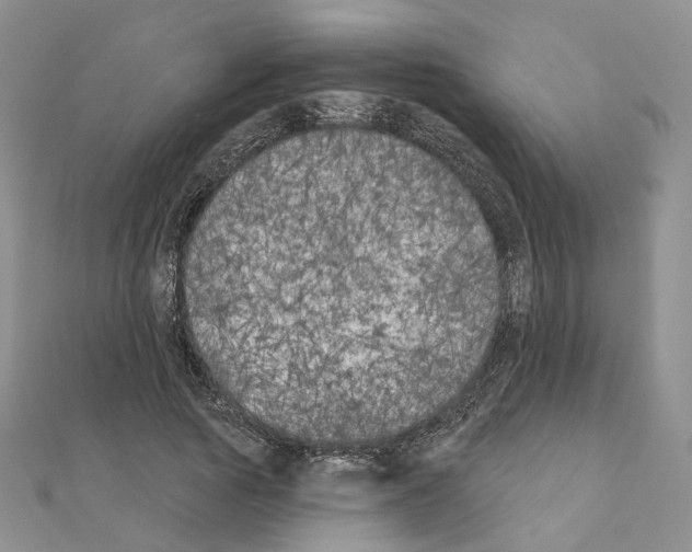 X0000111000737200907311030