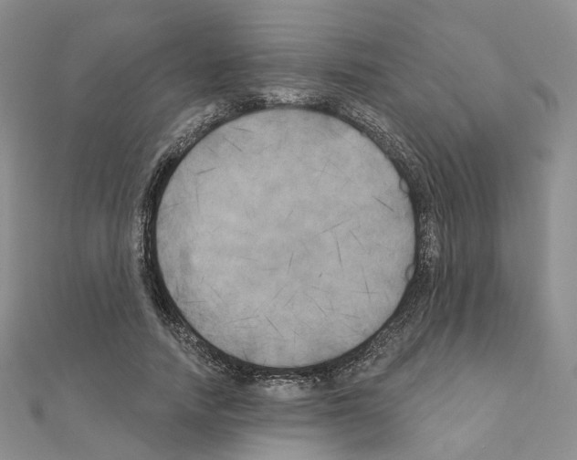 X0000111000738200907311030