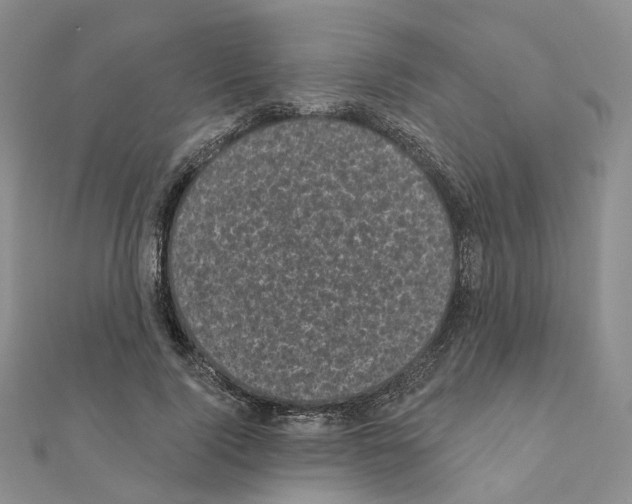 X0000111000740200907311030