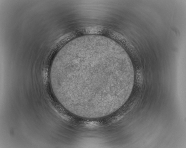 X0000111000741200907311030