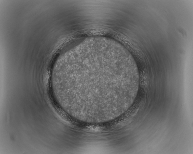 X0000111000742200907311030