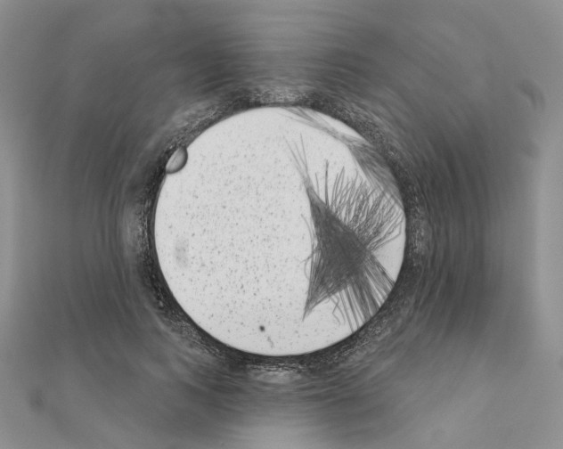 X0000111000743200907311030