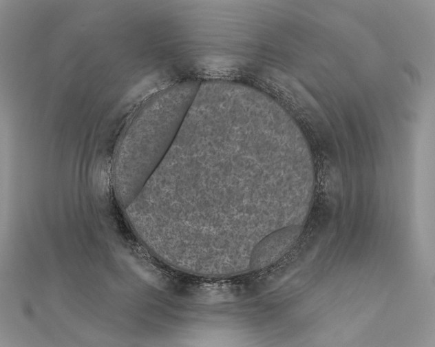 X0000111000744200907311030