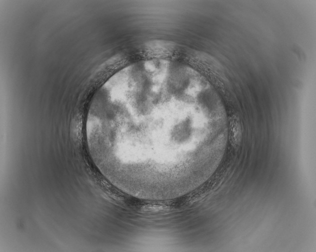 X0000111000745200907311030