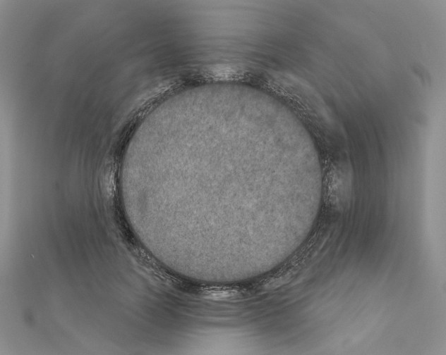 X0000111000746200907311030