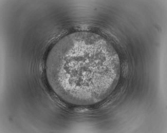 X0000111000747200907311030